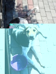image.jpeg