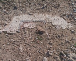 mosaic.jpg