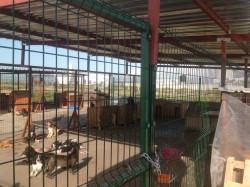 This is going to the the Rehbilitation Centre for approx 50 dogs