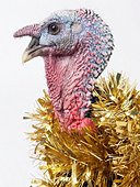 turkey and tinsel.jpg