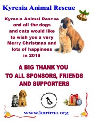 christmas THANK YOU SPONSORS 2015-page-0.jpg