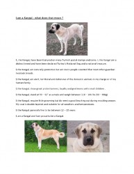I am a Kangal-page0001.jpg