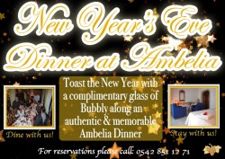 New Years poster Ambelia .jpg
