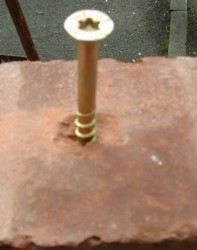 image.jpeg