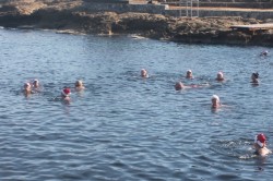 swimmers.jpg