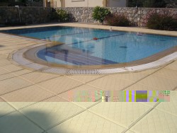 Pool & Terrace.jpg