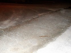 Spike in Road.jpg