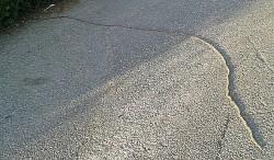 caterpillar1.jpg