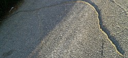 caterpillar2.jpg