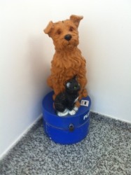 dog n cat box.jpg