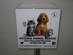 Airport Collection Box 006.jpg