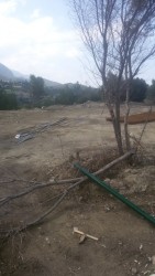 site clearing.jpg