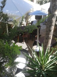 Small garden 1.jpg
