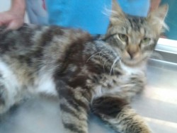 IMG-20160503-WA0000_resized.jpg