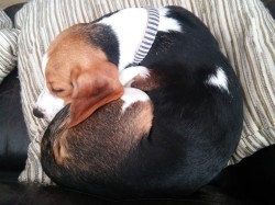 20151207_091306.jpg