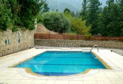 pool.jpg