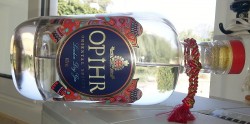 Oh my Gin.jpg