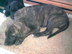 I thought that I had a new home!  :cry: