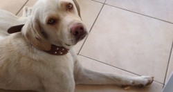 image.jpeg