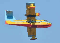 DSC_5251a.jpg