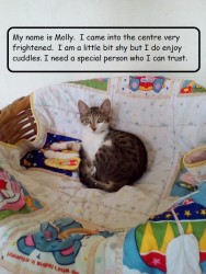 Molly.jpg