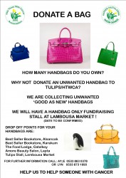 handbag poster.jpg