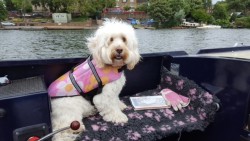 Mrs mehmet on the boat.jpg