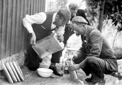 bootleggers.jpg