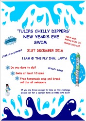 Chilly Dippers 2016 poster.jpg