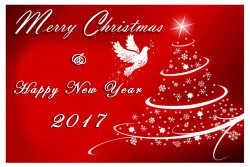 christmas-card.jpg
