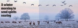 Winter.JPG