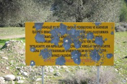 sign.jpg