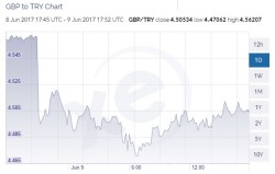 poundlira.JPG