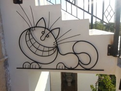cheshire cat kibkom.jpg