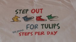 T-Shirt - front promotion.JPG