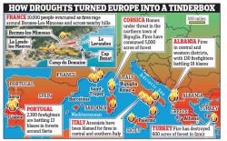 Fires.JPG