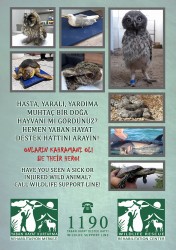 Wildlife Support Line