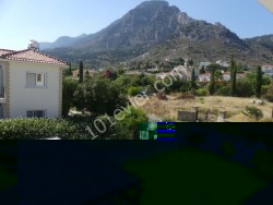 garden.jpg