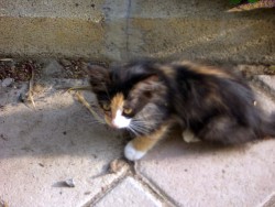 image003.jpg