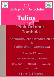 Pink Tombola a.jpg