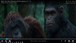 Apes.JPG
