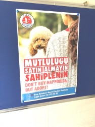 poster.jpg