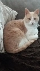 Last seen Tuesday evening