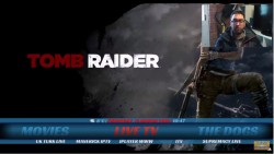 Tomb Raider Build.JPG