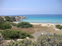 LUNCH BEACH.jpg