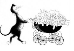 cat and pram.jpg