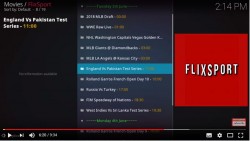 FlixSport.JPG