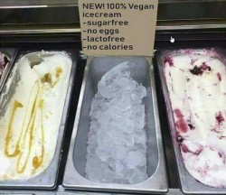 vegan icecream.jpg