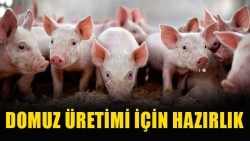 haberkıbrıs photo
