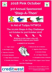 2018 Step Poster.jpg